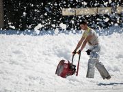 Fact about Domestic Services