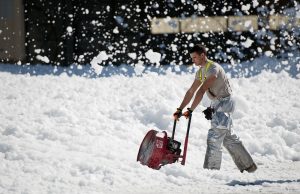Fact about Domestic Services