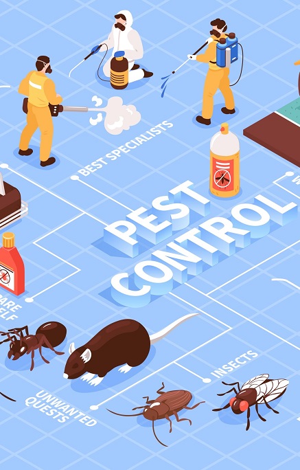 A Fly In the Ointment – What Is a Pest Control?