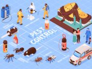 A Fly In the Ointment – What Is a Pest Control?