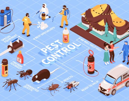 A Fly In the Ointment – What Is a Pest Control?