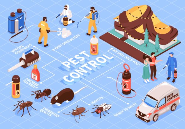 A Fly In the Ointment – What Is a Pest Control?